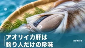 アオリイカ肝は釣り人だけの珍味｜正体は中腸腺・下処理・肝醤油まで丸ごと解説のアイキャッチ画像