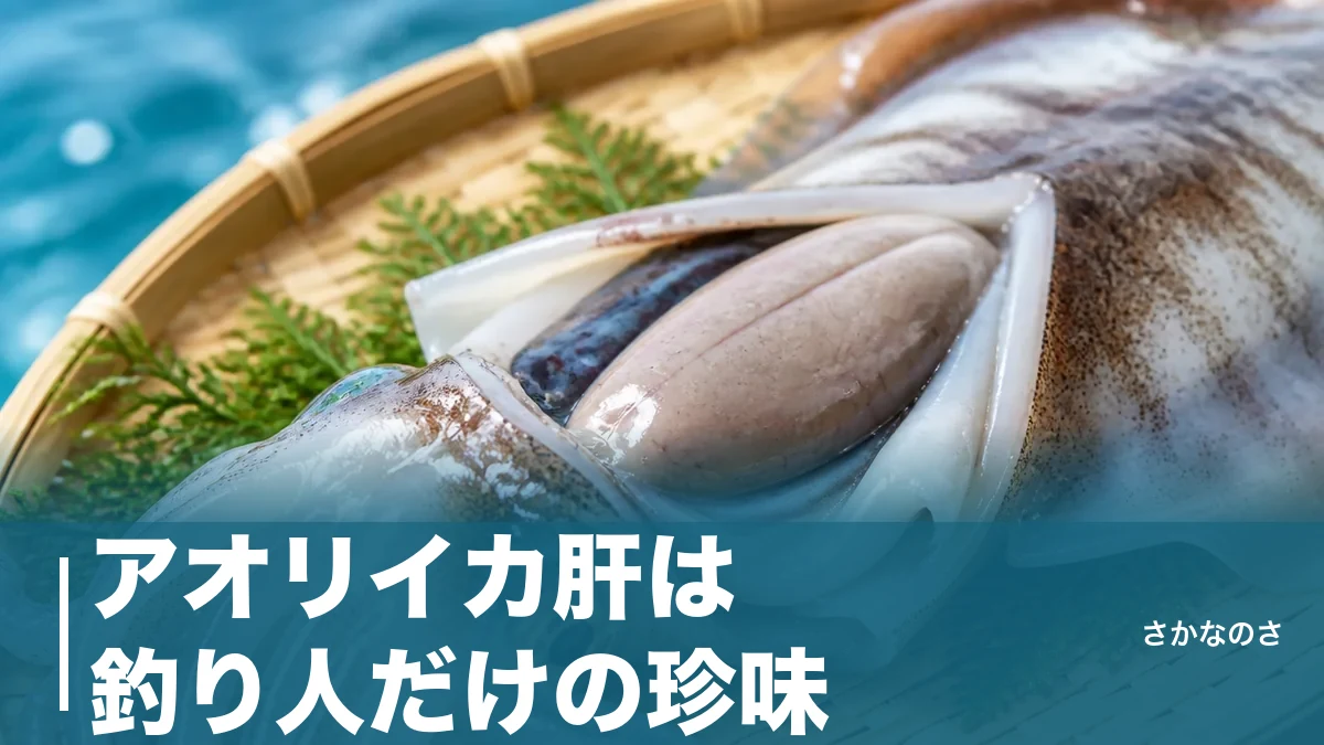 アオリイカ肝は釣り人だけの珍味｜正体は中腸腺・下処理・肝醤油まで丸ごと解説のアイキャッチ画像