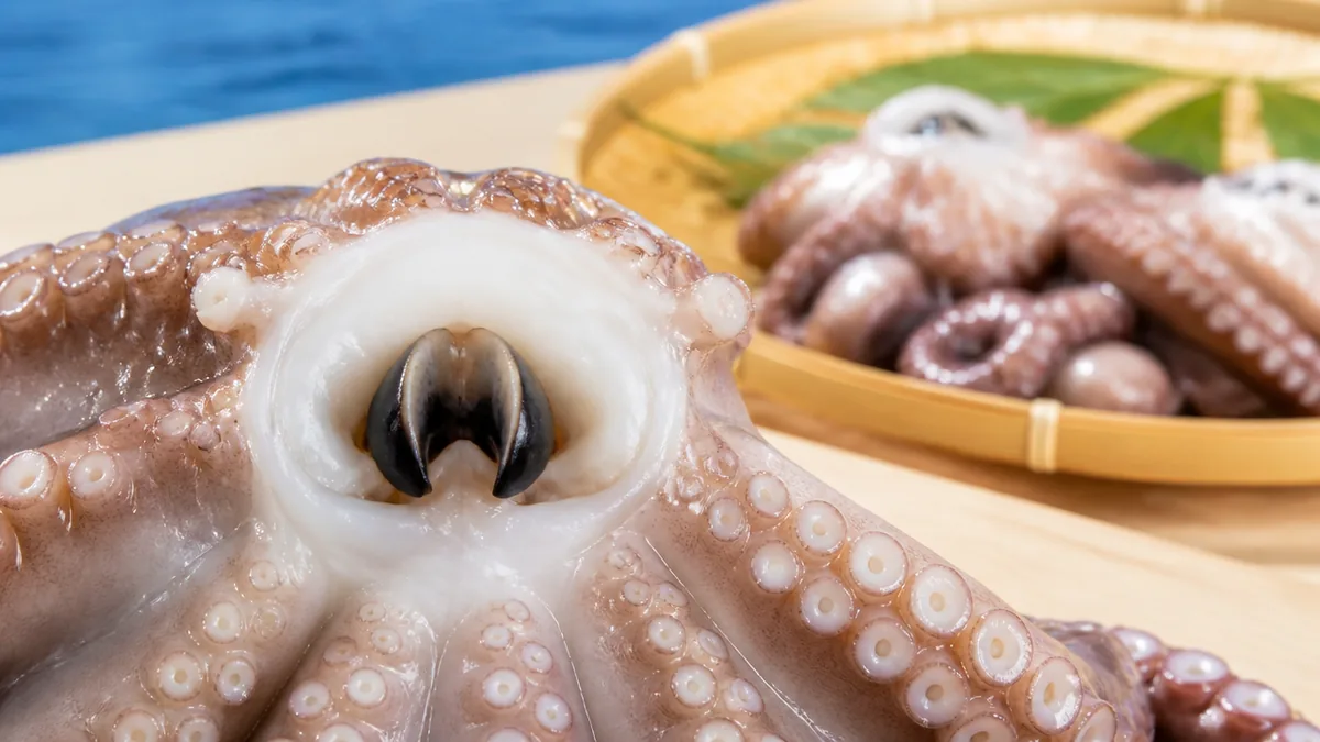 嘴だけじゃない|口の奥に隠れた歯舌と唾液腺という2つの装備の解説画像