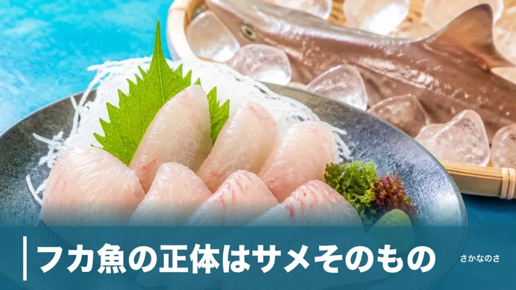 フカ魚の正体はサメそのもの｜関西での呼び名・種類・湯引きの食べ方を丸ごと解説のアイキャッチ画像