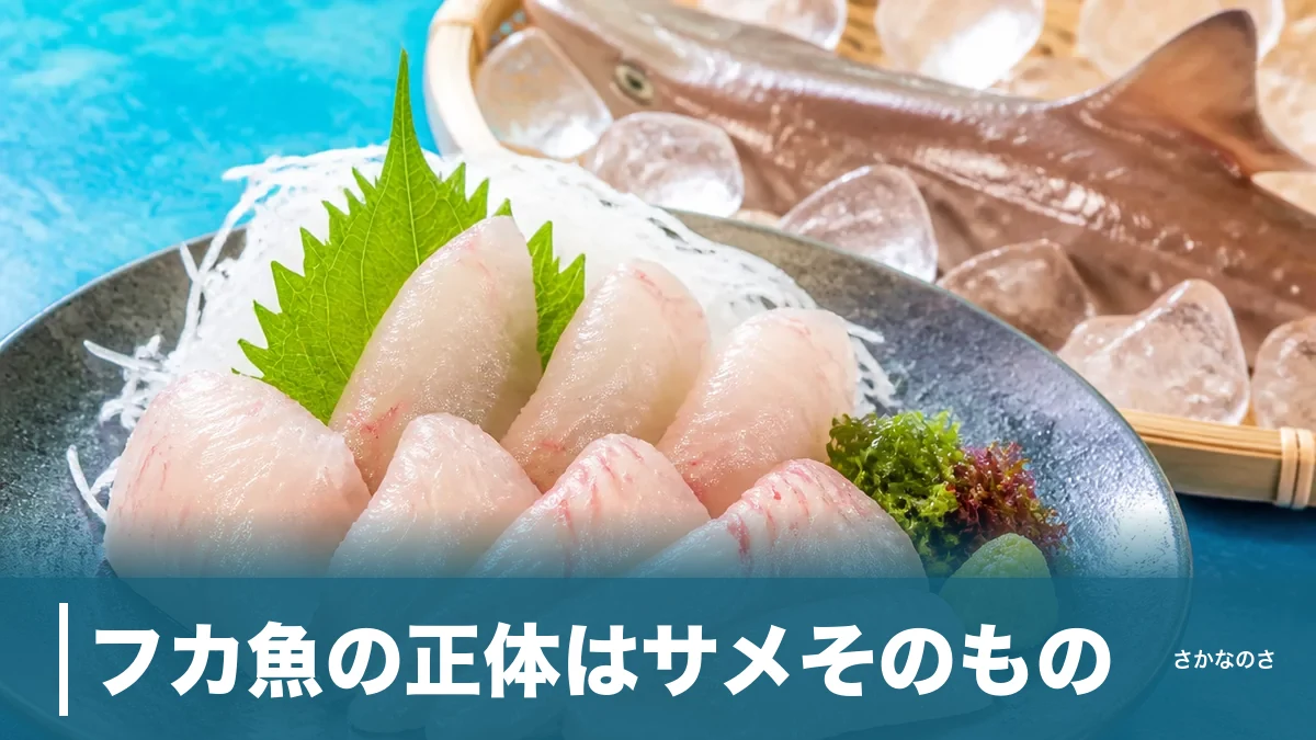 フカ魚の正体はサメそのもの｜関西での呼び名・種類・湯引きの食べ方を丸ごと解説のアイキャッチ画像